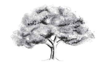 natrualistic