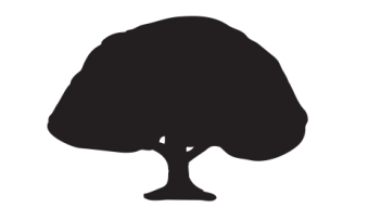 pictograph